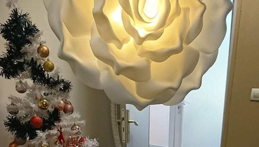 roses-lumineuses-blanc1